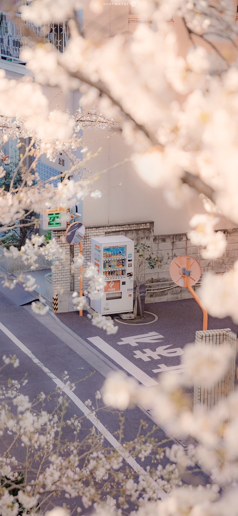 Sakura Airi, Japan, vending machine, vertical, 2K