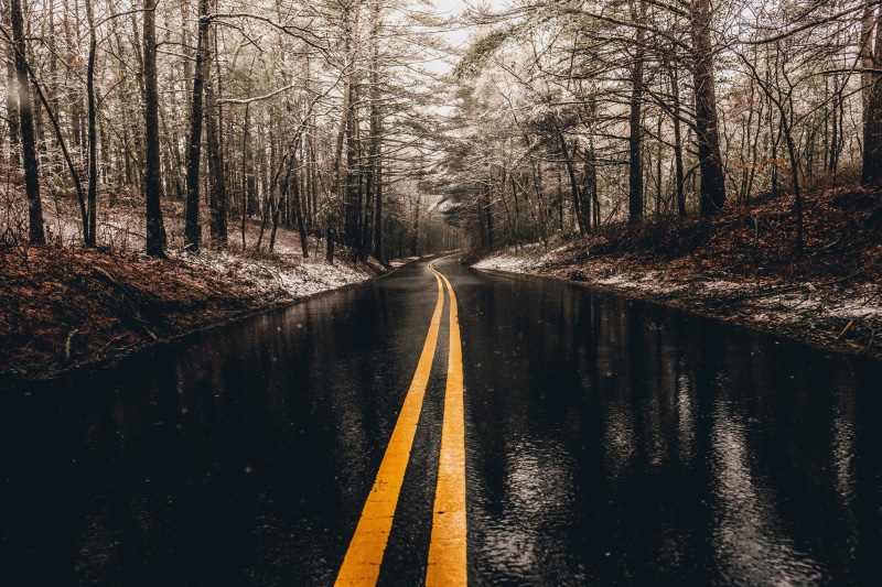 explore, land, yellow line, light, double yellow line, 5K, the way forward, surrounded, wet pavement, no people, trees, transportation, speed, landscape