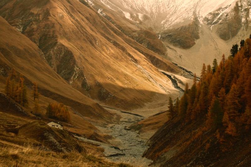 tree, golden landscape, himalayas, valley, mountain valley, 5K, explore more, high Up, beauty In Nature, landscape, nature, no People, snow, forest road