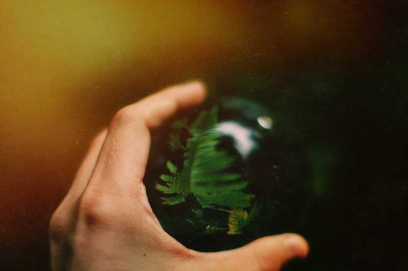 people, tropical, force, holding, ball, one Person, adult, depth, pine, glass ball, photograph, women, perspective, human Hand, caucasian Ethnicity, close-up