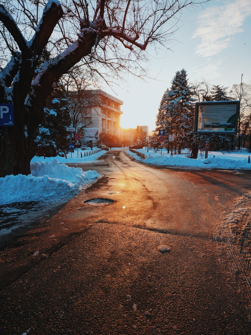 plant, #vsco, building, #nature, cold temperature, built structure, bare tree, transportation, snow, #oneplus, agronomie, #Bucharest, architecture, outdoors