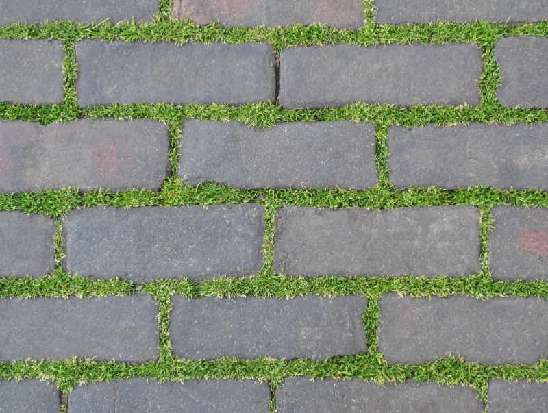 environment, nature, block, grass, bricks, wall, pattern, footpath, repetition, day, paving stone, life, gray, texture, high angle view, directly above