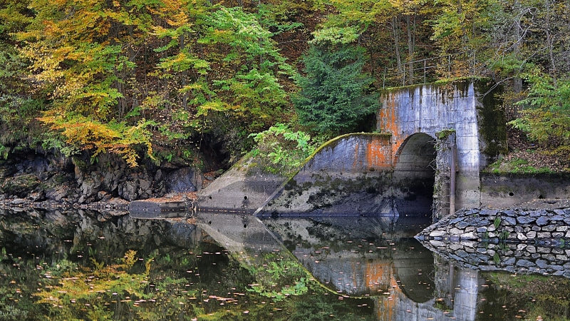 growth, bridge, romania, arch bridge, bridge - man made structure, outdoors, built structure, tree, beauty in nature, lake, tranquility, flowing water