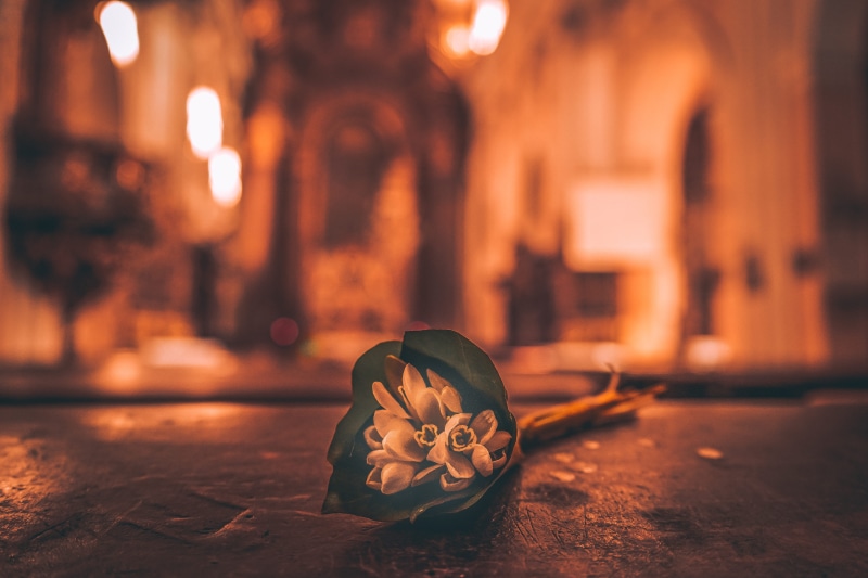 belief, church, focus on foreground, religion, craft, no people, snowdrops, spring, representation, happy, wood - material, art and craft, ornate, sick