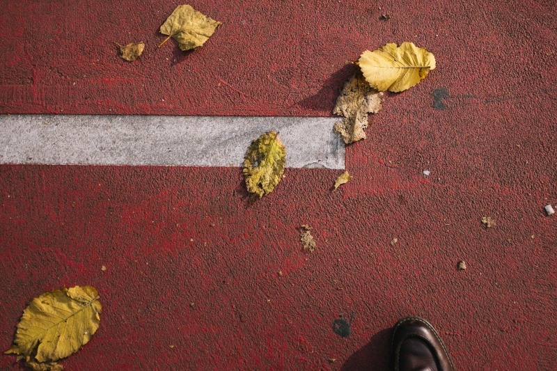 one person, cluj-napoca, maple leaf, colors, fragility, foot, human body part, high angle view, flower, human limb, bike, plant part, change, directly above