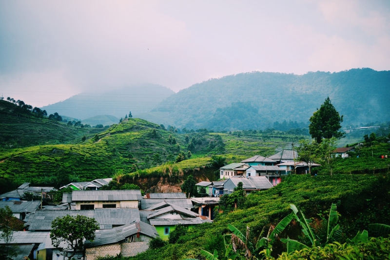 beauty in nature, nature, plant, travelling, house, moelzcore, 1080P, trees, building, home, day, green color, mountain, built structure, journey, tranquility