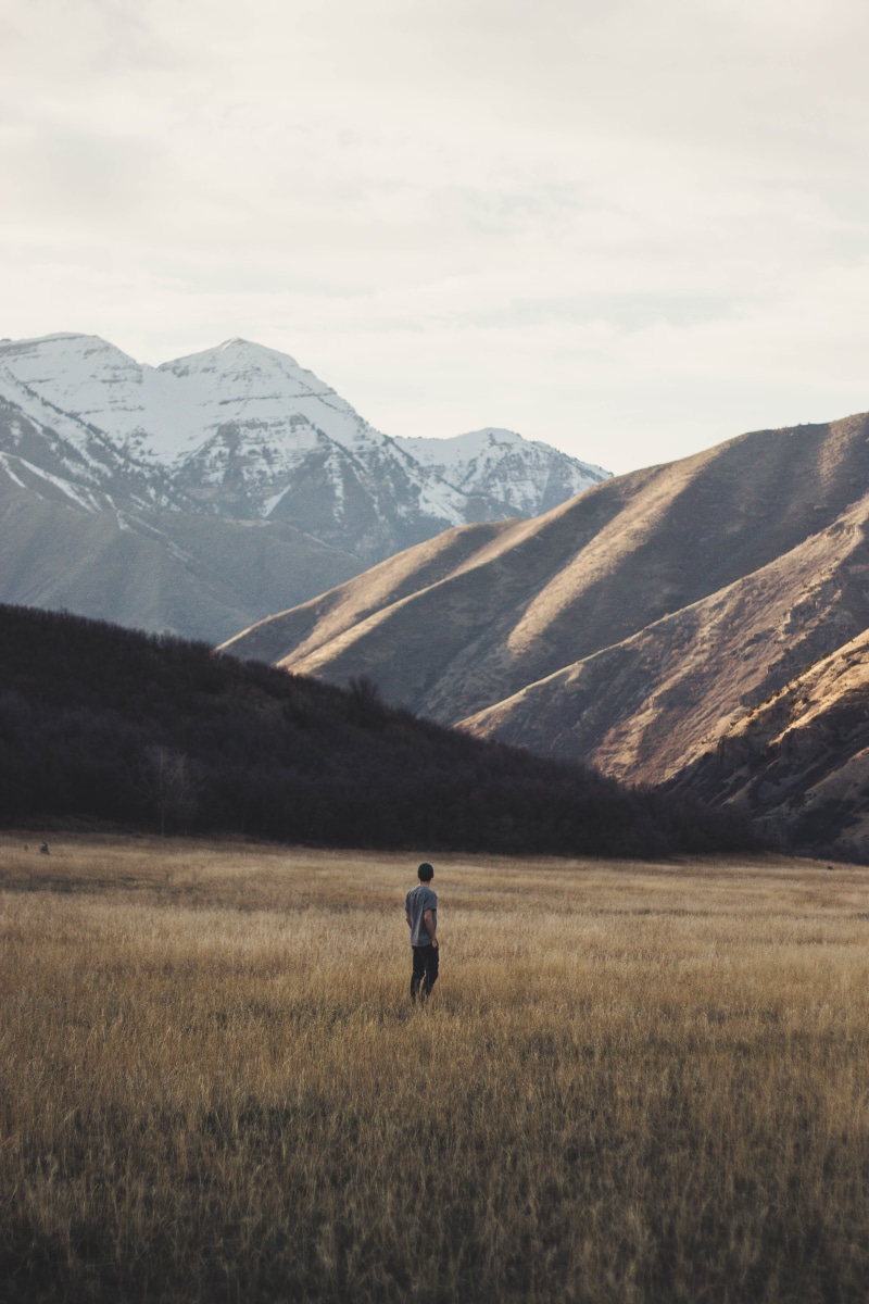 forest, alone, wander, man, tree, wilderness, mountain, pnwwonderland, dog, environment, mountains, tranquil scene, one person, open, real people, standing