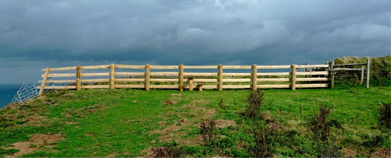 plant, brown, land, 5K, cross, background, barrier, protection, roam, tranquility, segregation, outdoors, private, wet, wooden, clouds, sky, path, storm