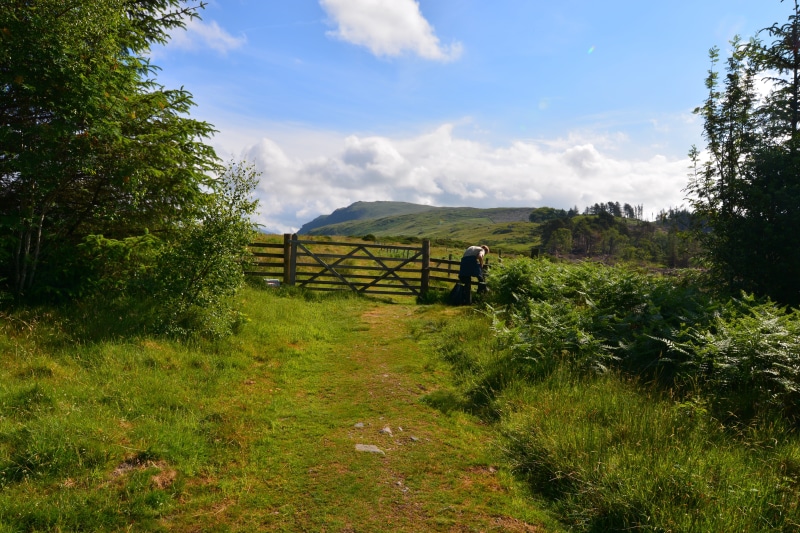 england, 5K, wast, mountain, the way forward, hiking, tree, green, wander, sunny, walking, day, growth, great, water, wanderlust, land, holiday, field