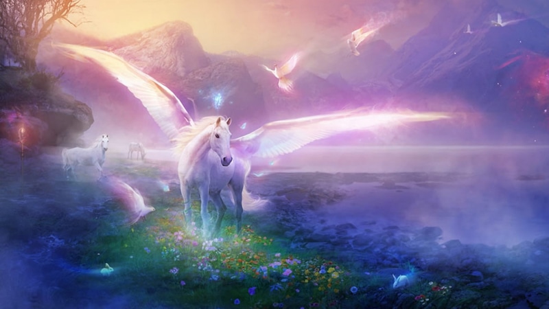 plant, digital composite, fairy, winged, white, travel destinations, tales, hd, fog, world, travel, tranquility, nature, scenics - nature, sky, blue, widescreen