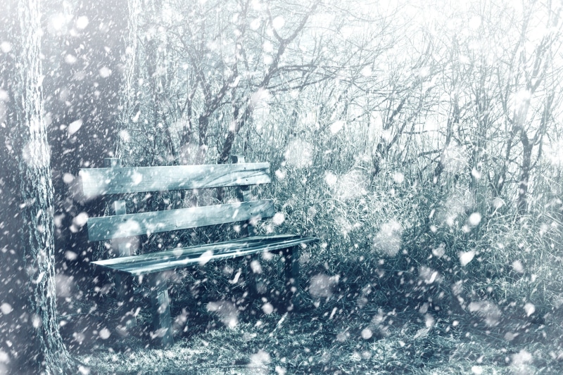 forest, blurred motion, cold temperature, recovery, storm, professional, mode of transportation, realistic, christmas landscape, overgrown, outdoors, cold