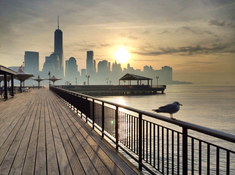 seagull, Hudson River, golden, dock, architecture, Pier, asia, urban Skyline, Park, near, hour, 1080P, sunset, Day, railing, golden hour, sea, J Owen Grundy
