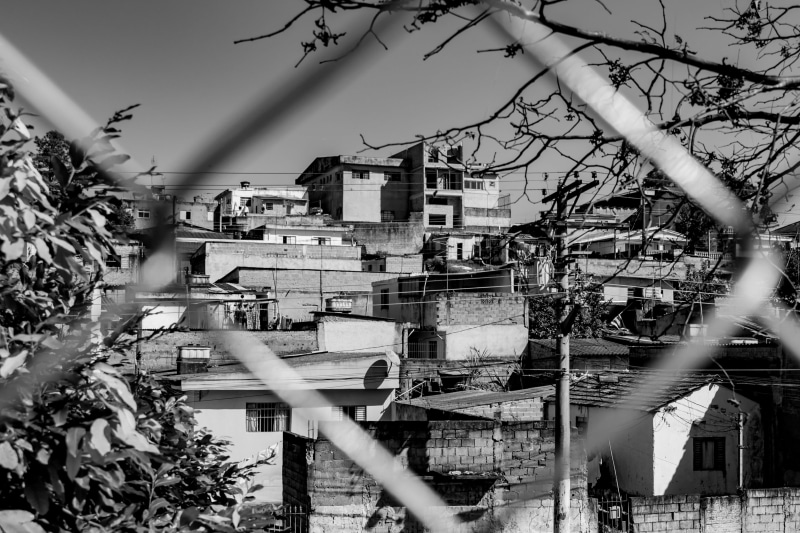 no people, high angle view, townscape, building exterior, city, comunidade, plant, são paulo, favela, focus on background, branch, town, built structure