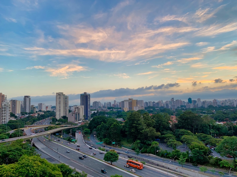 trees, plant, sp, são paulo, car, tall - high, city, daylight, brazil, modern, high angle view, bridge, nature, 4K, sao paulo, building, bus, sunset, outdoors