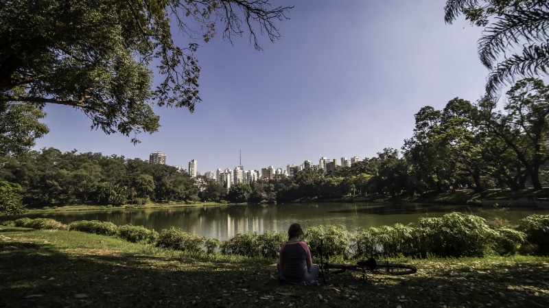 day, one person, trees, brazil, brasil, sao paulo, tree, parque da aclimação, lifestyles, plant, leisure activity, lake, outdoors, city, rear view, real people