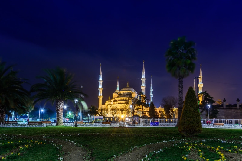 night, Istanbul, photo, lawn, Cathedral, the city, Turkey, palm trees, mosque, 4K, temple, the monastery