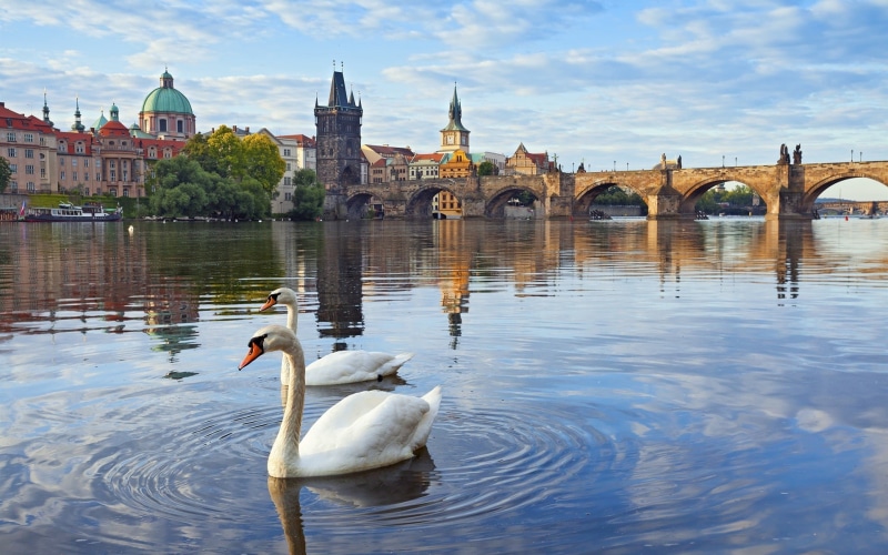 Prague, Vltava, Houses, Czech, 1080P, Bridge, Republic, Charles, River, Swans