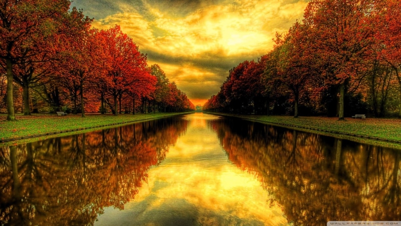 1080P, fall pictures, nature, 1920x1080, autumn, fall  hd, fall, sky, fall  images, Water, tree, fall desktop