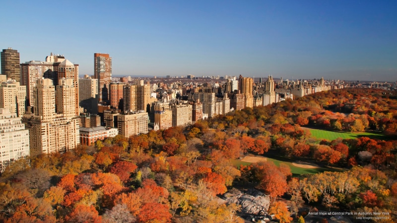 new, aerial, 2K, autumn, central, park, Fall, view, york