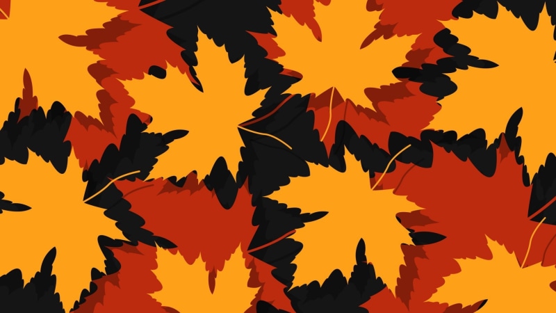 outdoors, yellow, silhouette, leaves, leaf, orange color, backgrounds, digital composite, plant part, maple leaves, sunset, nature, vector, pattern, growth