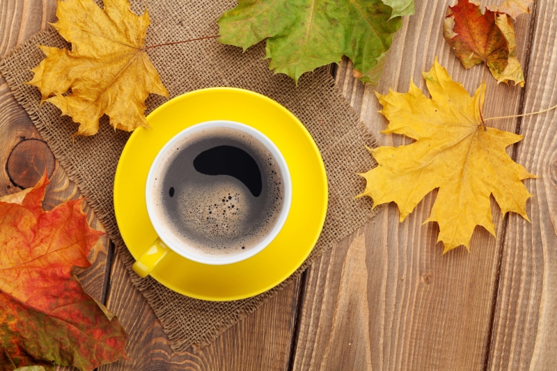 leaves, mugs, drink, high angle view, saucer, mug, fall, coffee, directly above, food and drink, nature, leaf, no people, refreshment, change, 4K, yellow