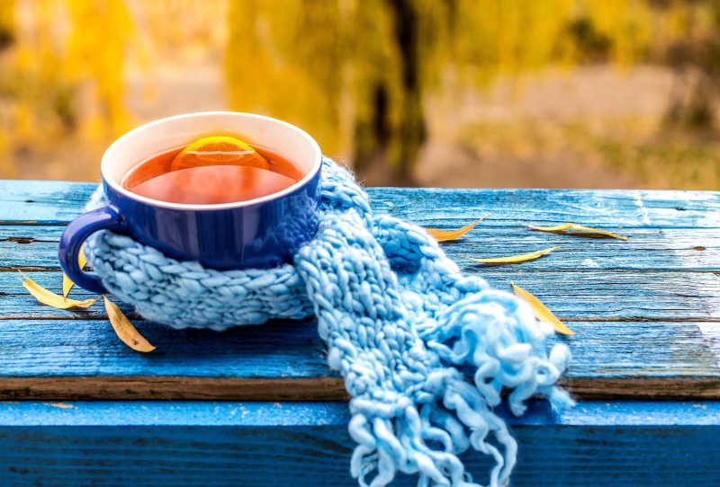 2K, liquid, filled, fall, leaves, autumn, ceramic, orange, knit, mug, maple, tea, scarf, cup, blue