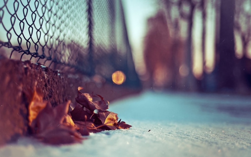 drop, street, dry, day, frozen, 1080P, leaves, leaf, weather, no People, plant, cold - Temperature, focus, snow, plant part, selective focus, barrier