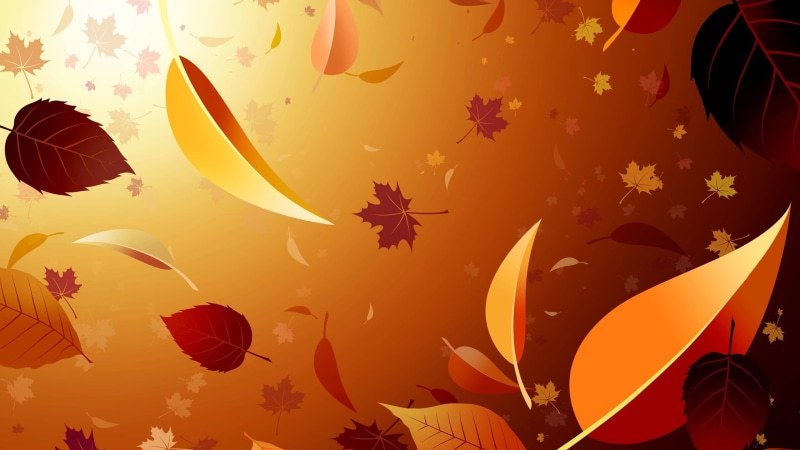 brown, fall, plant, animal wildlife, animals in the wild, nature, digital, maple leaves, plant part, illuminated, close-up, leaves, maple, no people, leaf