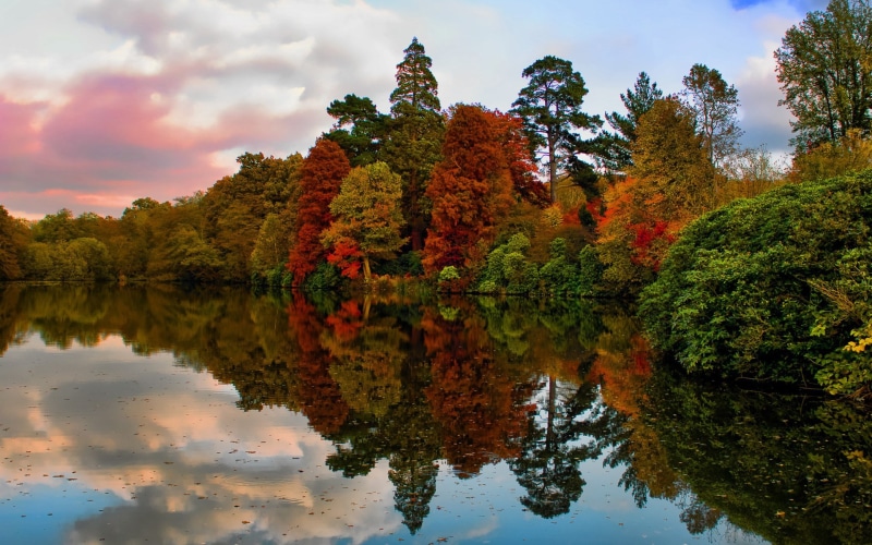 nature, outdoors, plant, no people, waterfront, 1080P, autumn, reflection lake, tranquility, lake, tree, natural condition, cloud - sky, sky, reflection