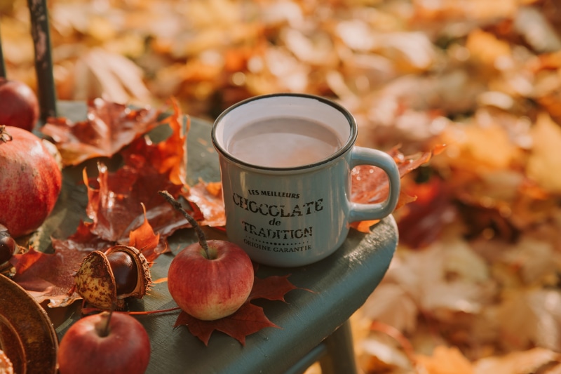orange color, food, coffee cup, beside, autumnal, leaf, tray, autumn, apple picking, chocolate chip, change, chocolate drink, plant part, 5K, western script