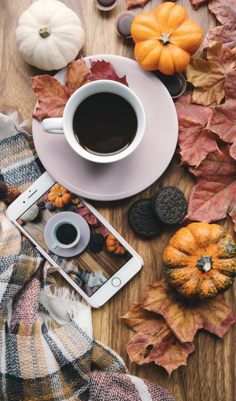 plant part, oreo cookies, fall, pumpkins, ceramic, coffee, season, crockery, cozy., photo, gourds, technology, biscuits, autumn, saucer, coffee cup, leaf