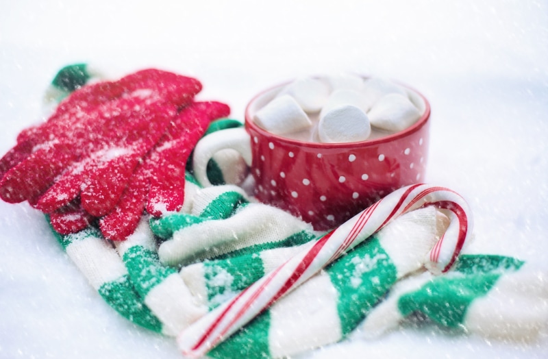 drink, celebration, kitchen utensil, winter, 5K, studio shot, indulgence, cup, warm, white, indoors, holiday, cozy, powdered sugar, candy, temptation