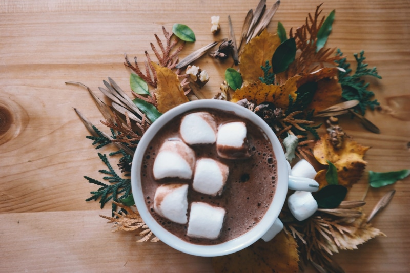 autumn, healthy eating, eating utensil, sweet food, food, marshmallows, 4K, ceramic, drink, chocolate, wood - material, leaf, refreshment, herb, food and drink