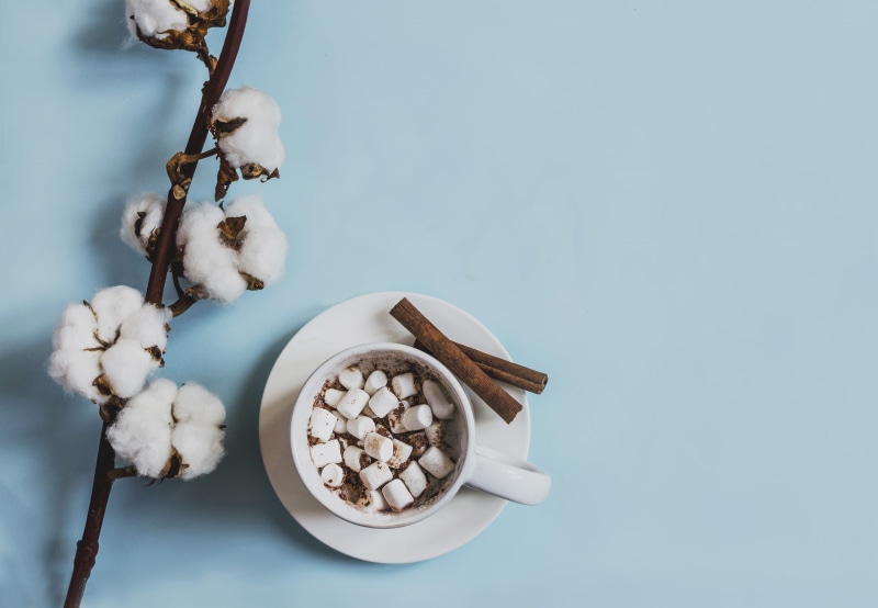 copy space, colored background, blue, cinnamon sticks, plant, indoors, excess, white, filled, marshmallow, saucer, round, still life, 1080P, table, nature