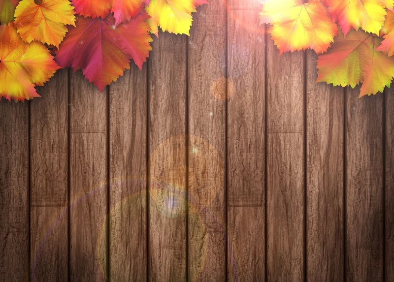 backdrop, change, autumn, design, wood - Material, orange Color, vibrant Color, no People, frame, flower, table, textured, colors, leaf, barrier