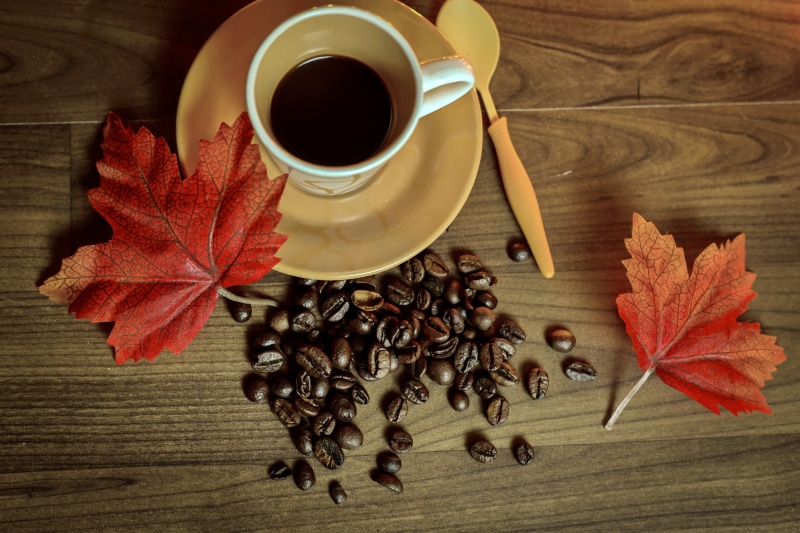 4K, autumn, leaves, book, coffee, Cup, beans