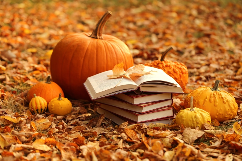 autumn, harvest, books, 5K, leaves, pumpkin, yellow