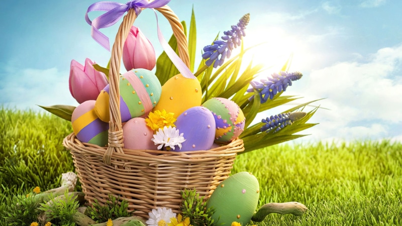 east wind, beauty in nature, summer, colorful, celebration, basket, flowers, pattern, spring, floral, multi colored, container, pink, graphic, fresh, orange