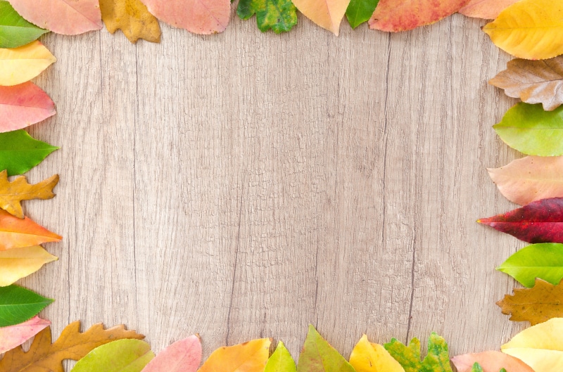HD, flowering plant, wooden, plant, blank, food and drink, green, close-up, healthy eating, board, colorful, change, fruit, table, wood, border