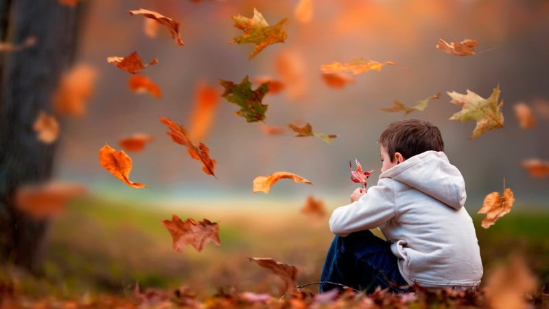 children, 1080P, leaves, fall, sitting, windy