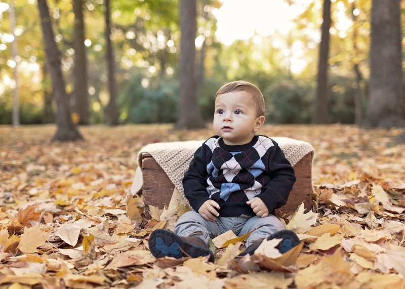 one boy only, sweater, little, outdoor, toddler, males, one person, autumn, offspring, wearing, children only, innocence, men, baby, leaf, land, maple