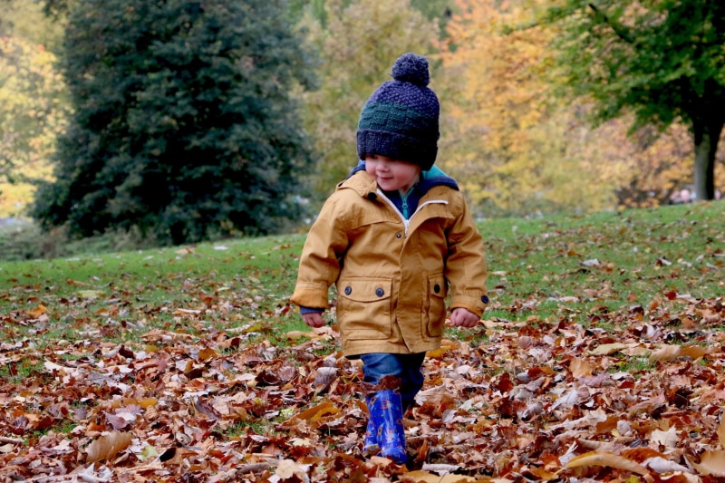 innocence, day, males, field, tree, walking, outdoor, boys, season, zip, trees, park - Man Made Space, wearing, hat, clothing, coat, fallen, land, outdoors