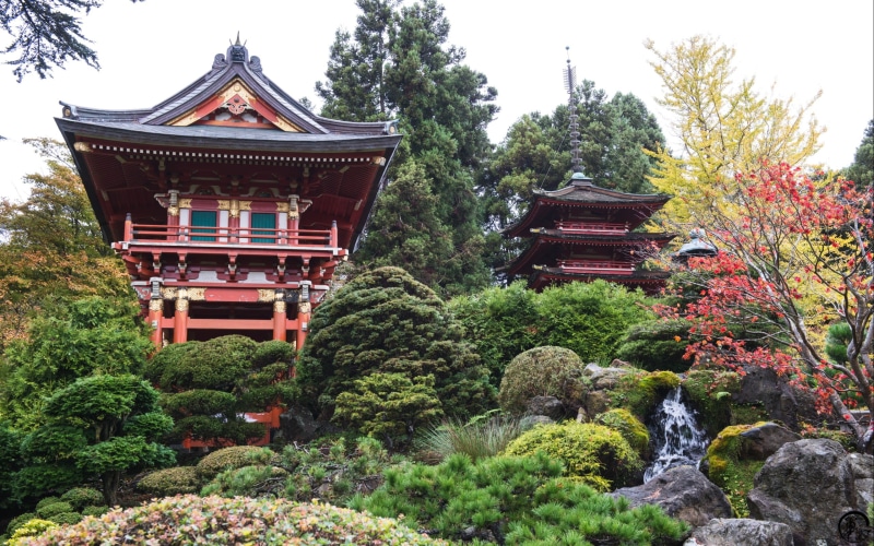 pagoda, belief, Asian architecture, day, temple, religion, pavilion, place of worship, Bushes, red, built structure, spirituality, building, nature, red leaves