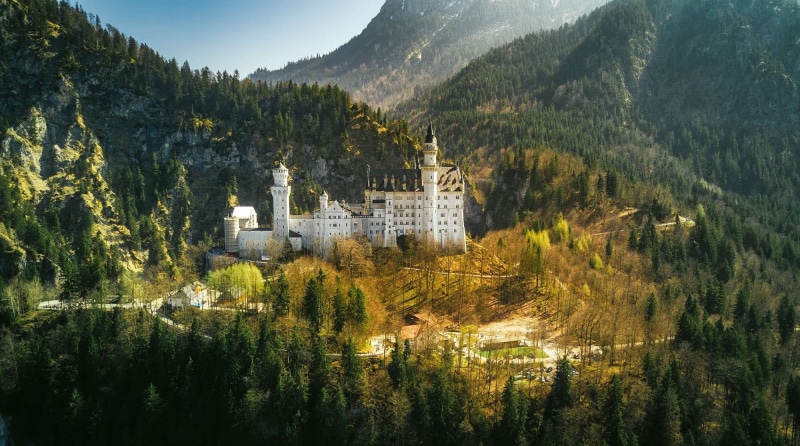 forest, scenics - nature, mountain, historic, growth, day, outdoors, germany, palace, neuschwanstein castle, famous, residential district, tourism, history