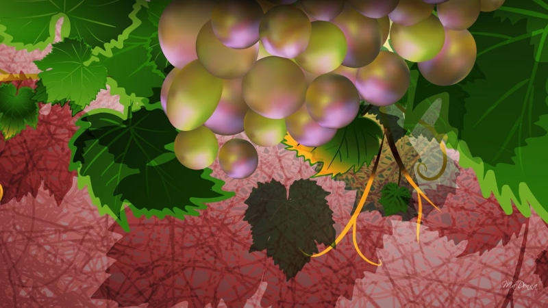 wine, 1080P, vineyard, pick, grapes, summer, leaves, health, ripe, drink, fruit, winery, fall, champagne