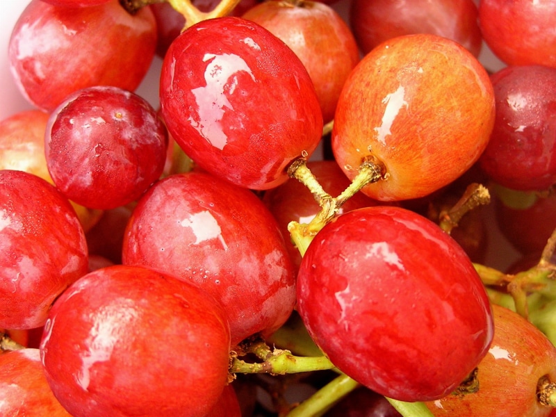 720P, grapes, fruit, vegetarian Food, vegetable, food, red, tomato, nature, organic, freshness, agriculture, ripe, macro