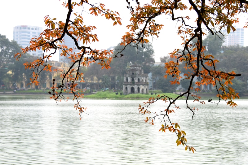 day, bang lang, water, hoan kiem lake, spring, nature, tranquil scene, autumn, tranquility, city, branch, beauty in nature, outdoors, red leaves, architecture