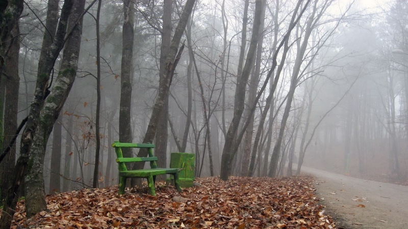 loneliness, bench, october, tranquil Scene, wooden, no People, light - Natural Phenomenon, change, nature, footpath, land, autumn, backgrounds, fall, rural Scene