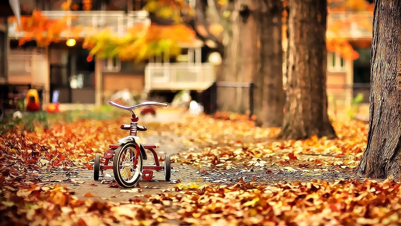 garden, 3d and abstract, autumn, 1080P, bike, fallen leaves, october