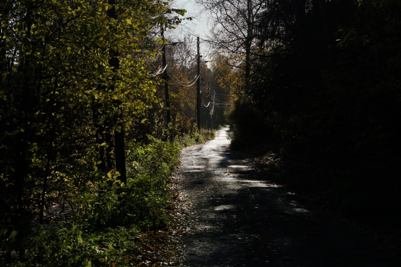 transportation, tree, outdoors, diminishing perspective, nature, narrow, october, tranquil scene, non-urban scene, footpath, road, direction, forest, no people